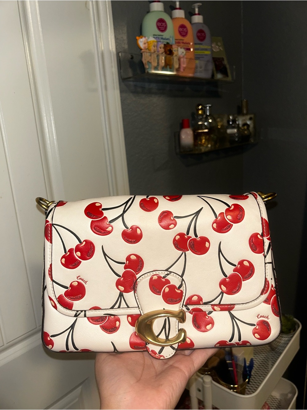 Coach cherry soft tabby purse
